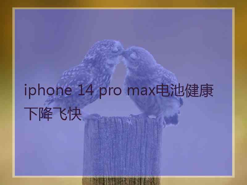 iphone 14 pro max电池健康下降飞快