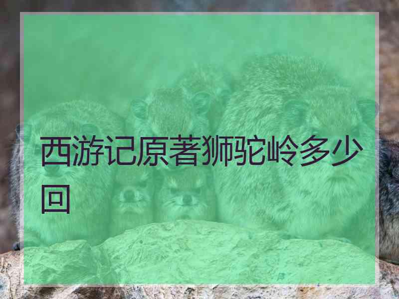 西游记原著狮驼岭多少回