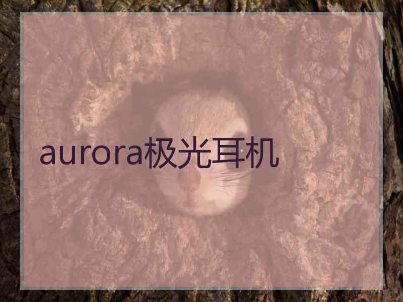 aurora极光耳机