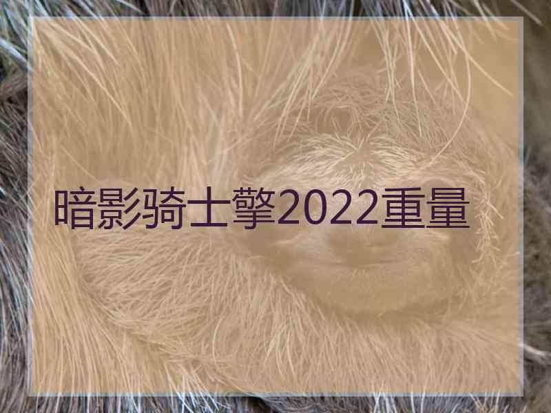 暗影骑士擎2022重量