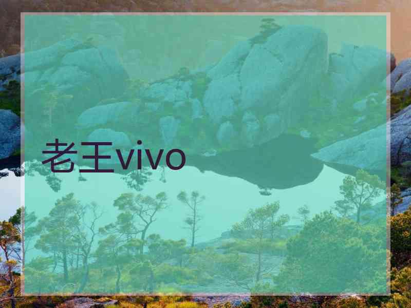 老王vivo