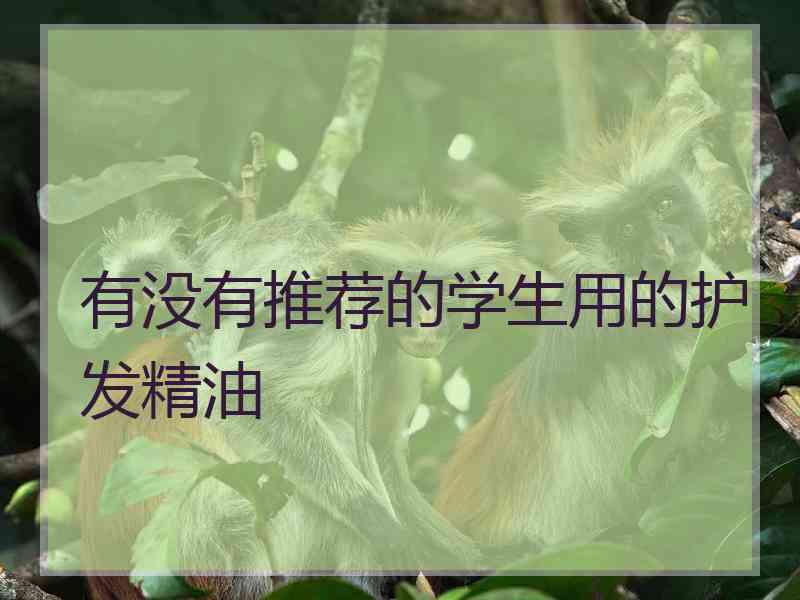 有没有推荐的学生用的护发精油