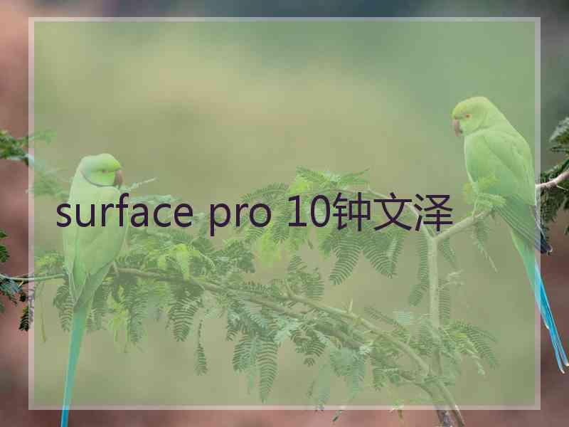 surface pro 10钟文泽