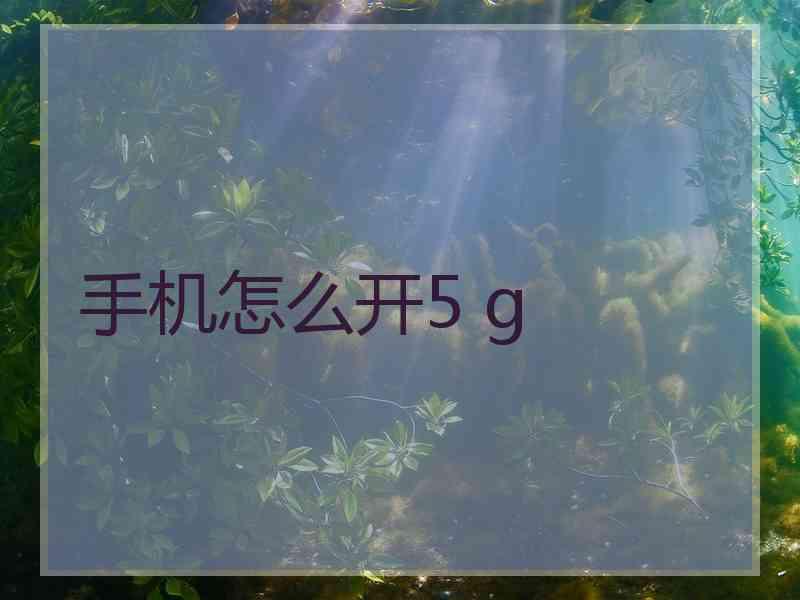 手机怎么开5 g