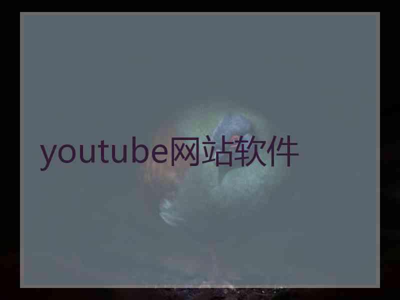 youtube网站软件