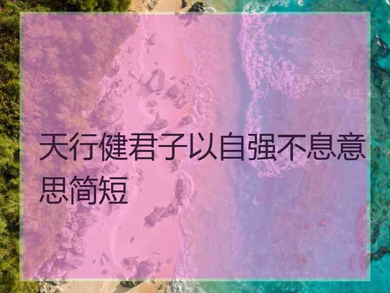 天行健君子以自强不息意思简短