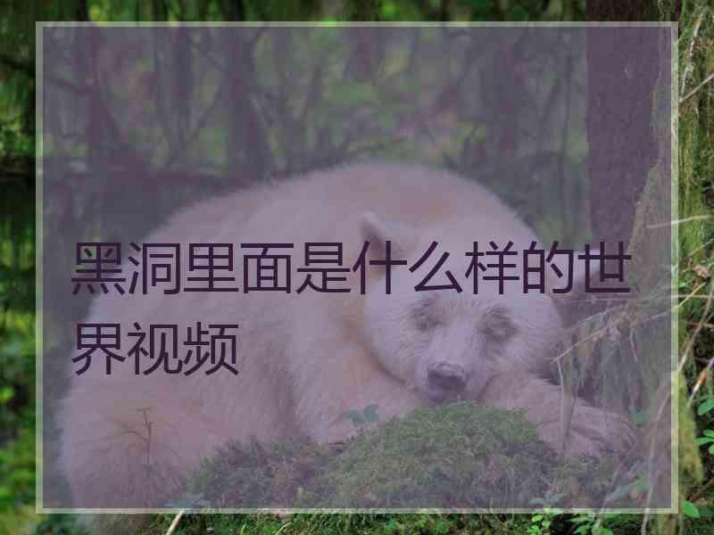 黑洞里面是什么样的世界视频