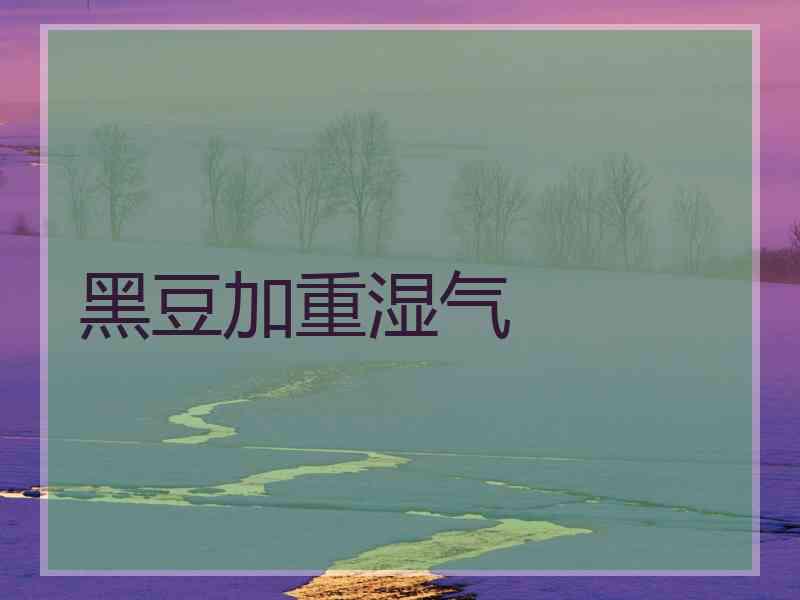 黑豆加重湿气