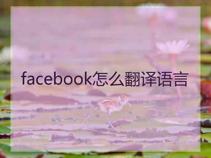 facebook怎么翻译语言