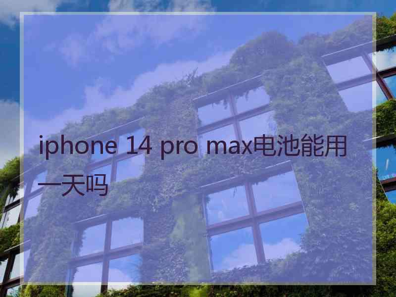 iphone 14 pro max电池能用一天吗