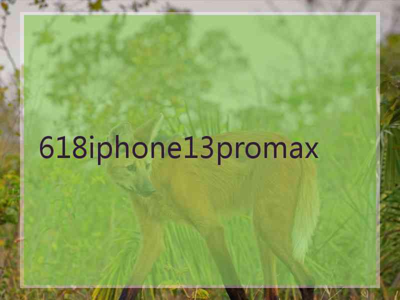 618iphone13promax