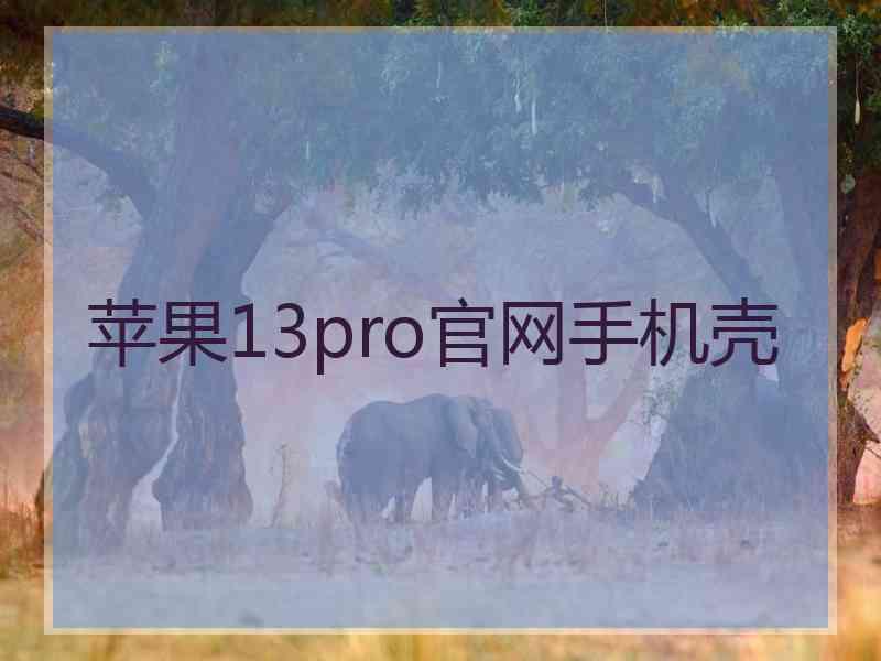 苹果13pro官网手机壳