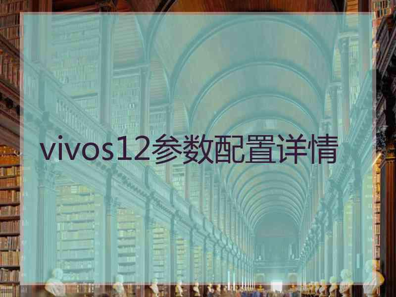 vivos12参数配置详情