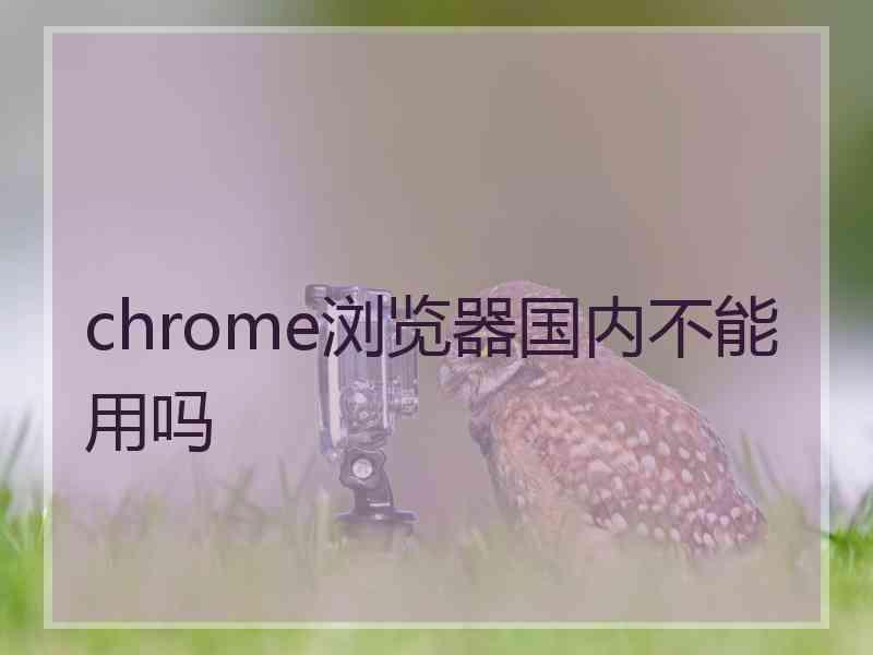 chrome浏览器国内不能用吗