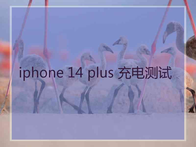 iphone 14 plus 充电测试