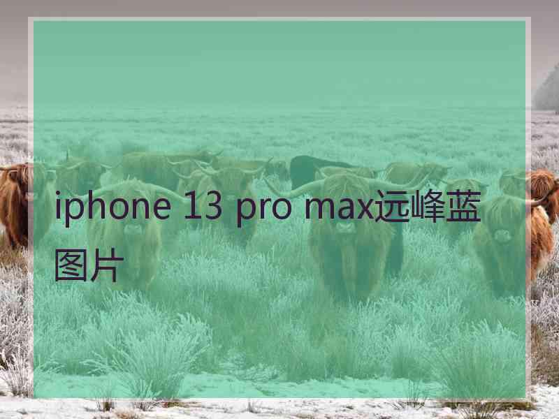 iphone 13 pro max远峰蓝图片