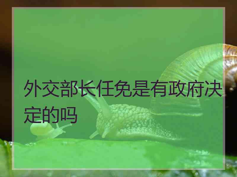 外交部长任免是有政府决定的吗