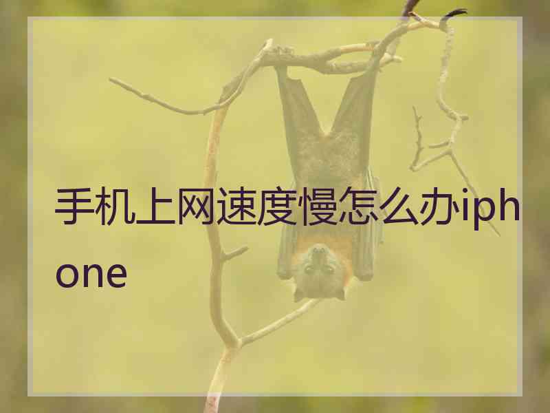 手机上网速度慢怎么办iphone