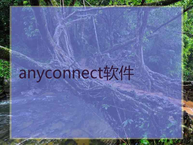 anyconnect软件