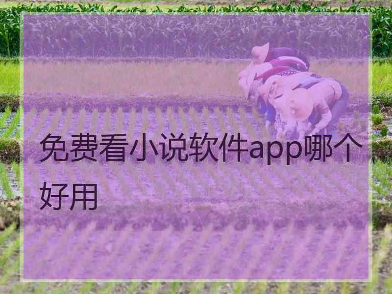 免费看小说软件app哪个好用