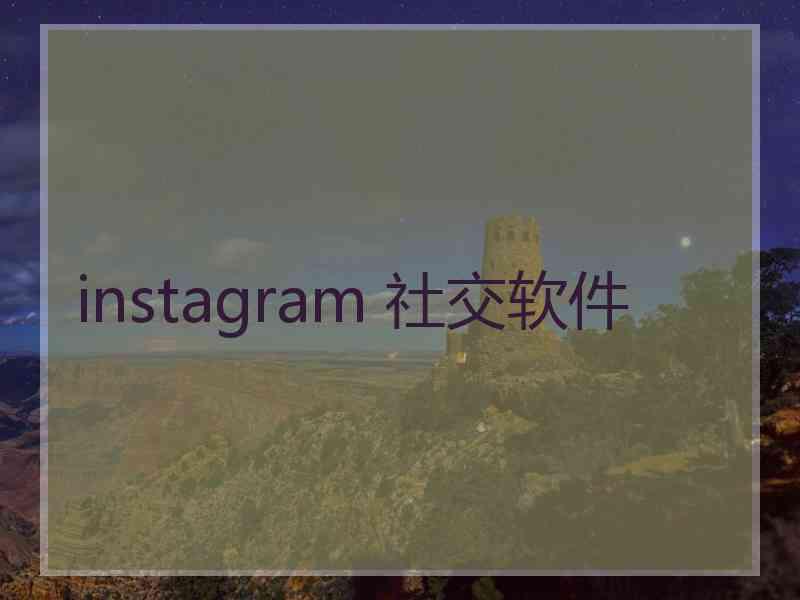 instagram 社交软件