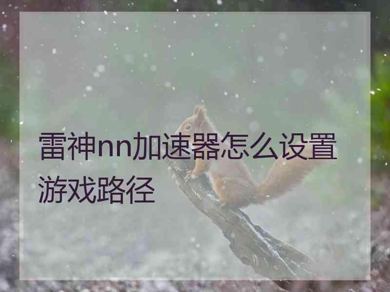 雷神nn加速器怎么设置游戏路径