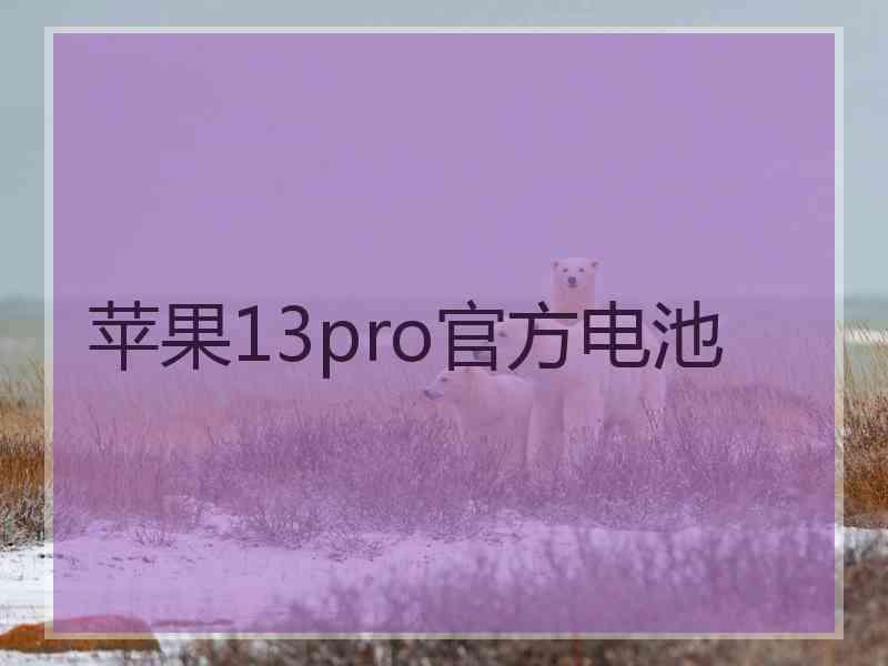 苹果13pro官方电池