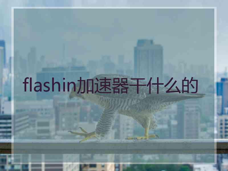 flashin加速器干什么的