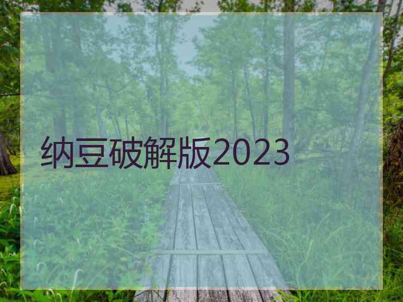 纳豆破解版2023