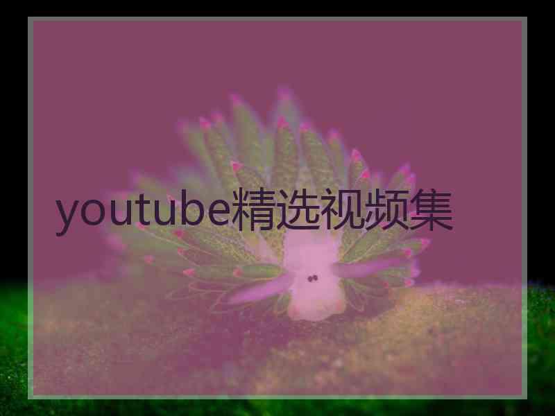 youtube精选视频集