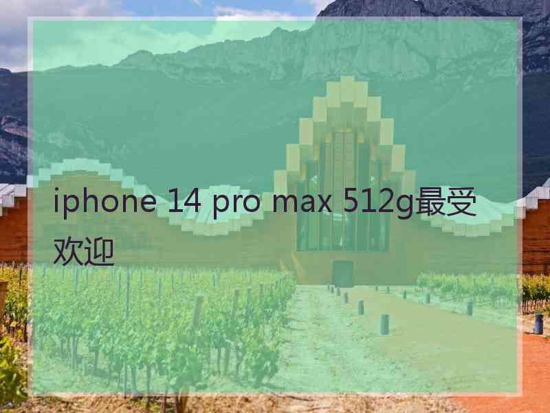 iphone 14 pro max 512g最受欢迎