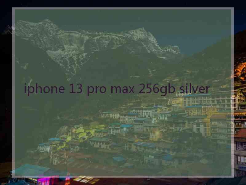 iphone 13 pro max 256gb silver