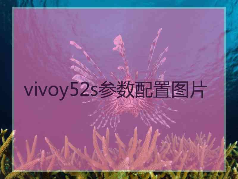 vivoy52s参数配置图片