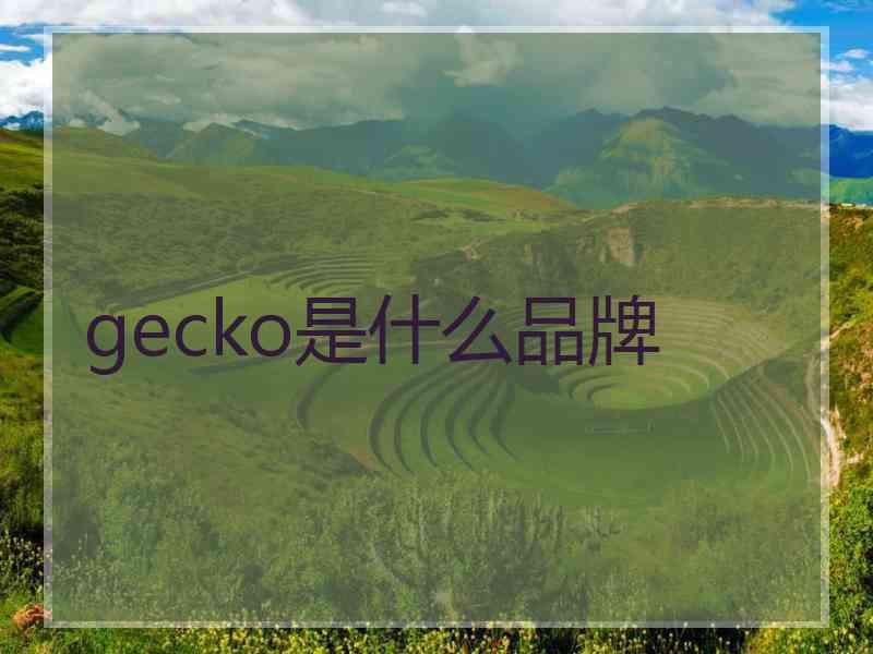 gecko是什么品牌