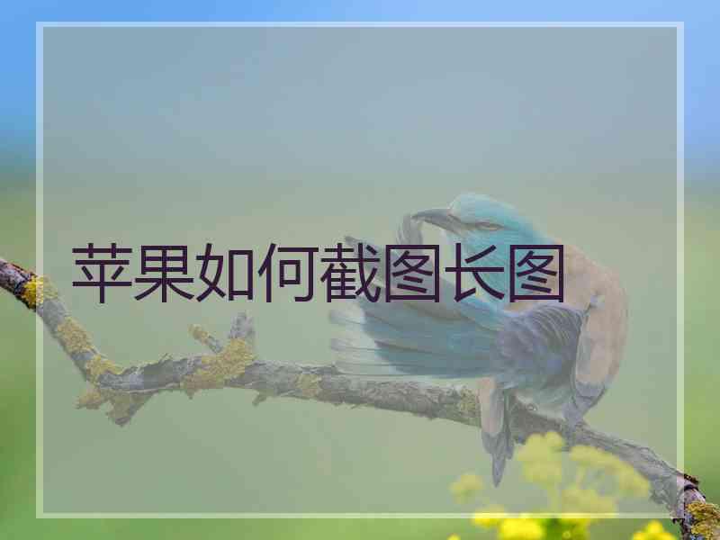 苹果如何截图长图