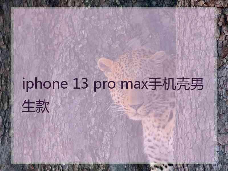 iphone 13 pro max手机壳男生款