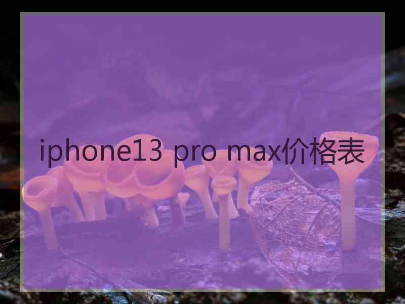 iphone13 pro max价格表