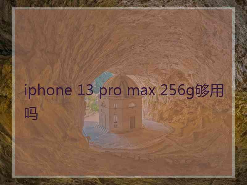 iphone 13 pro max 256g够用吗