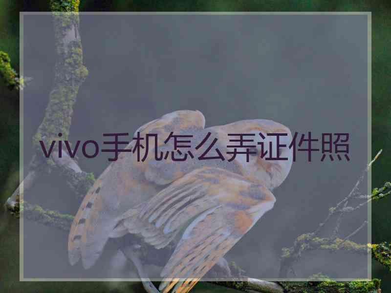 vivo手机怎么弄证件照