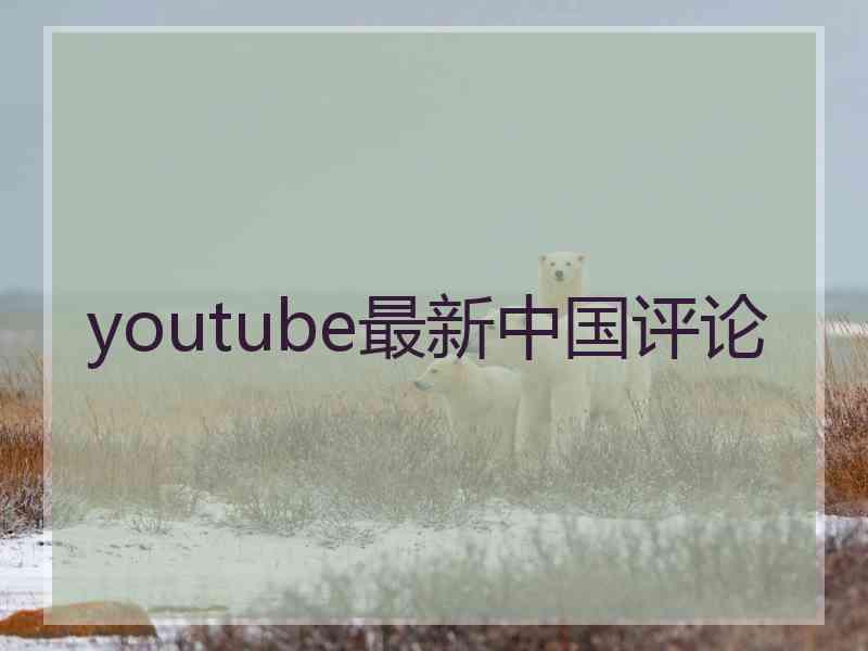 youtube最新中国评论