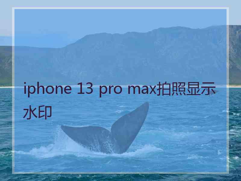 iphone 13 pro max拍照显示水印