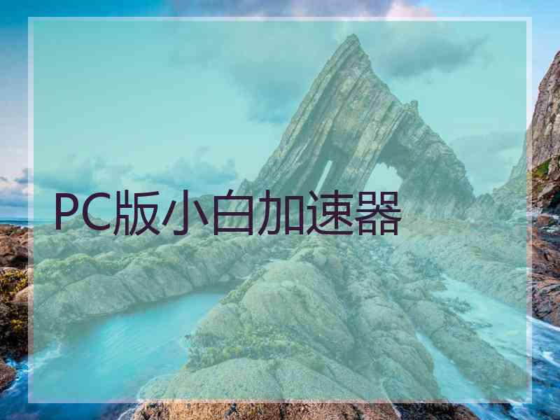 PC版小白加速器