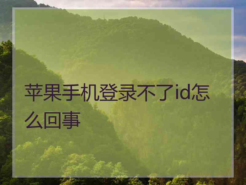 苹果手机登录不了id怎么回事