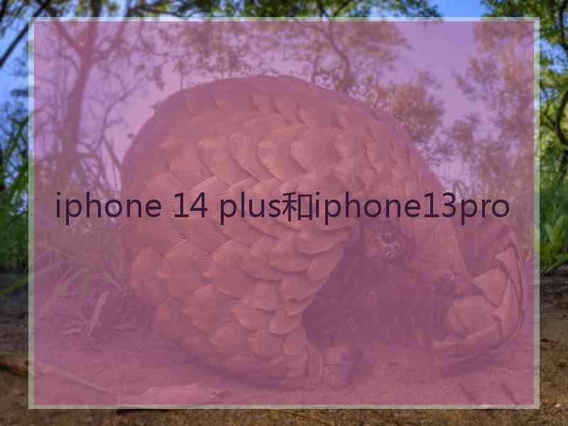 iphone 14 plus和iphone13pro