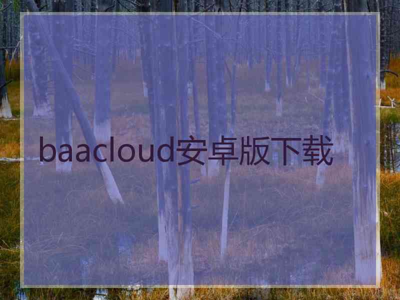 baacloud安卓版下载