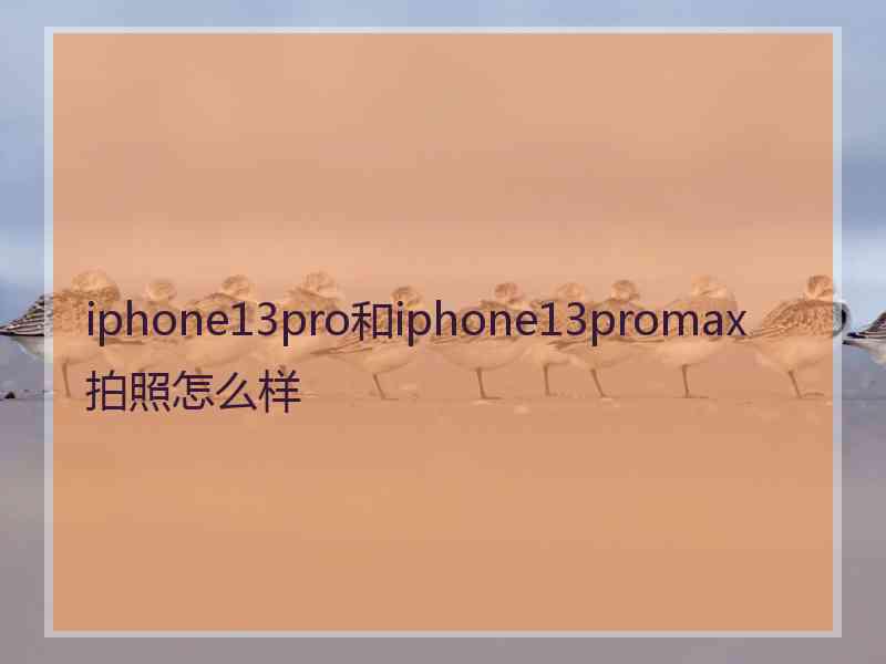 iphone13pro和iphone13promax拍照怎么样