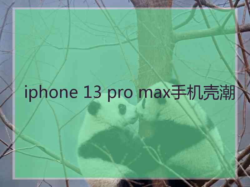 iphone 13 pro max手机壳潮