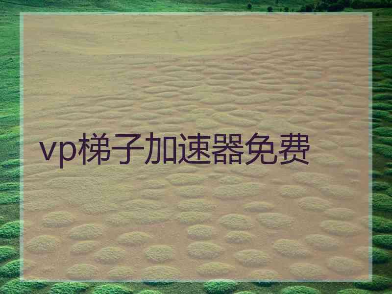 vp梯子加速器免费