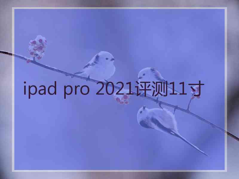 ipad pro 2021评测11寸