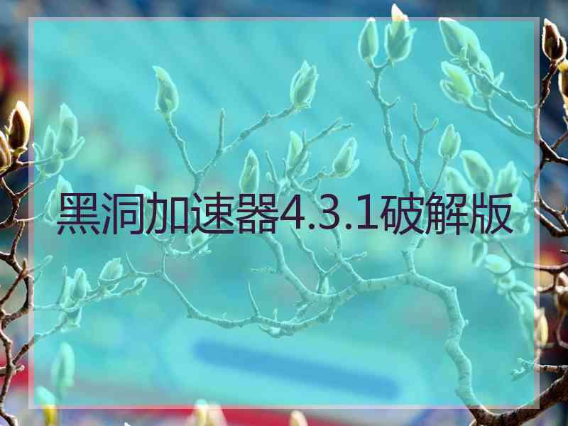 黑洞加速器4.3.1破解版